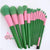 Alpha Kappa Alpha pink and green makeup brush set